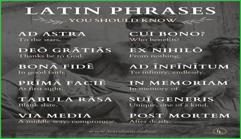 A Profile Of A Latin Beauty